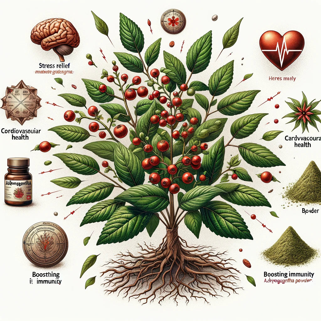Unleashing the Power of Ashwagandha Root...Benefits and How to Use It