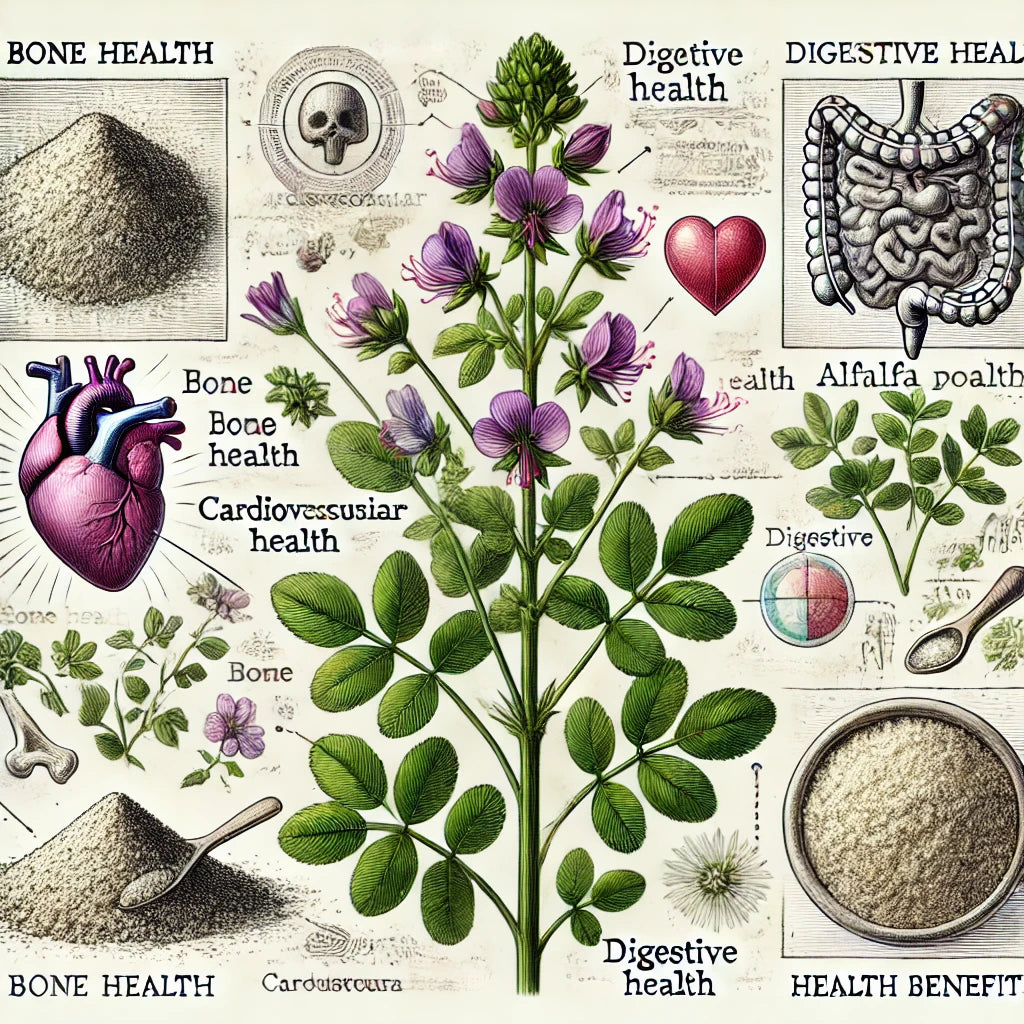 Unlocking the Benefits of Alfalfa...Nature’s Nutrient-Rich Powerhouse