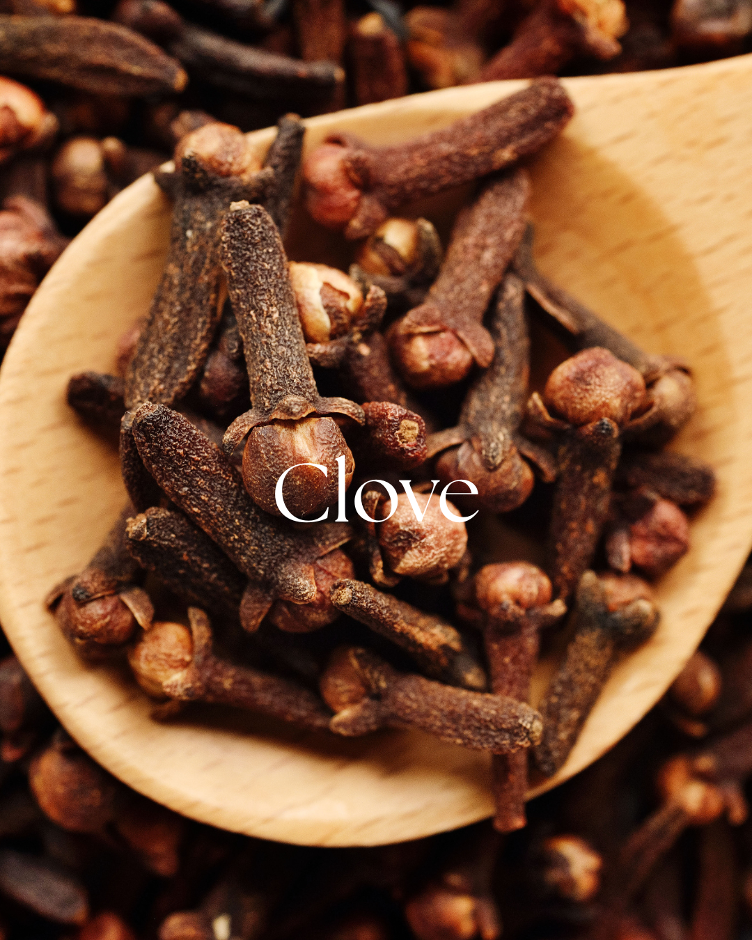 Whole organic clove buds, Syzygium aromaticum, packaged in a one-ounce pouch