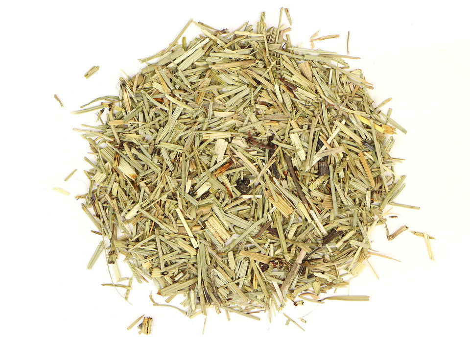 Dried horsetail herb, Equisetum arvense, also known as shavegrass