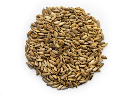 Milk thistle seed, Silybum marianum, packaged as a bulk botanical ingredient