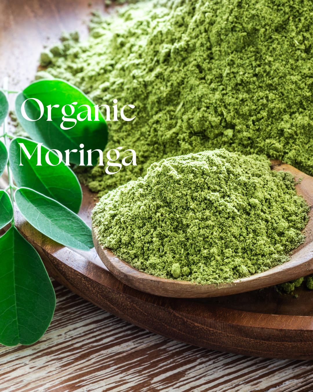 Organic moringa leaf powder, Moringa oleifera, packaged in a one-ounce pouch