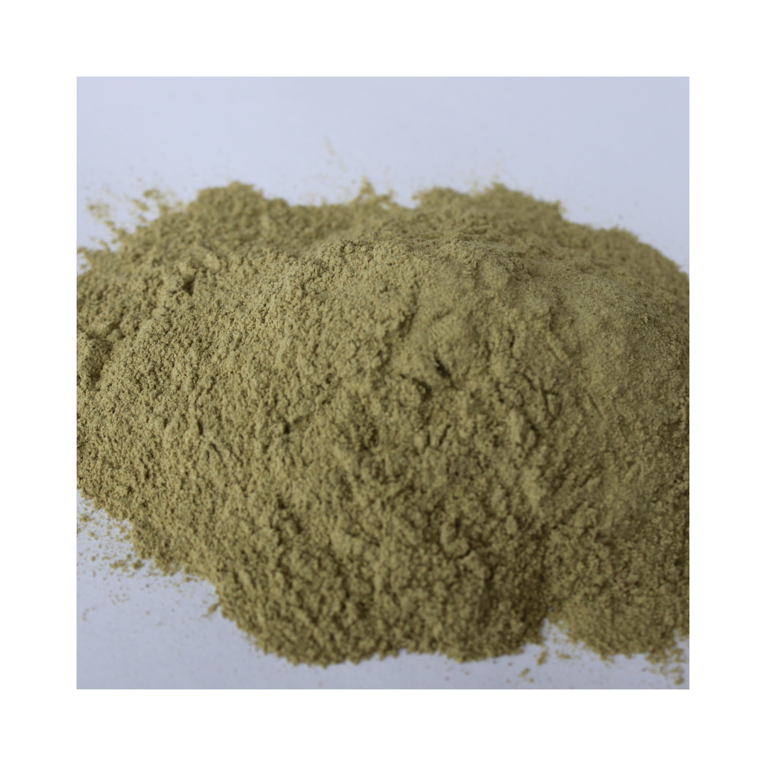 Organic aloe vera powder, Aloe barbadensis, packaged in a one-ounce pouch