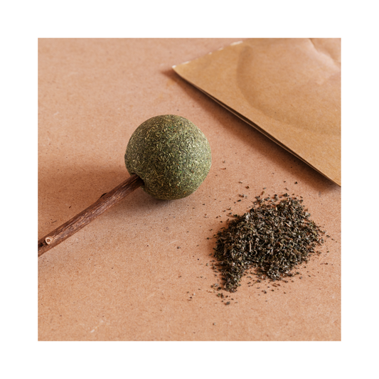 Organic dried catnip herb, Nepeta cataria, in a one-ounce product package