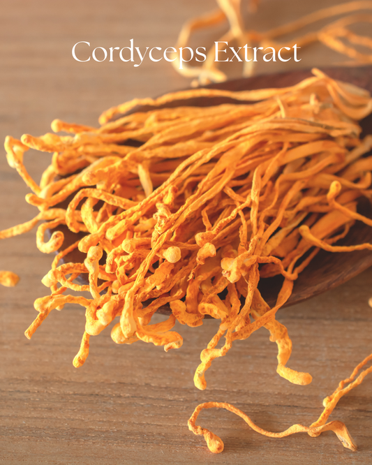 Cordyceps extract powder in a one-ounce product package