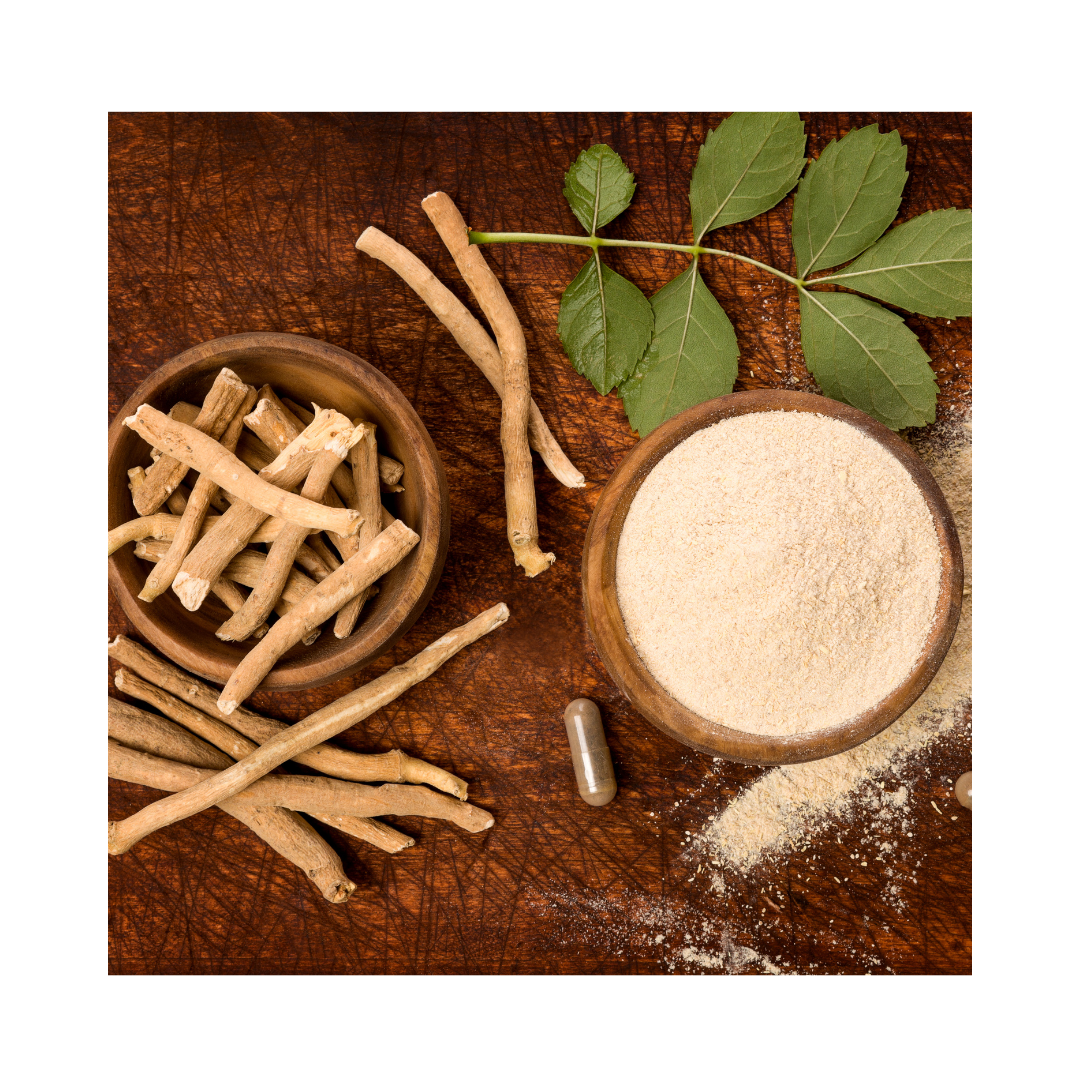 Organic dried sarsaparilla root packaged in a one-ounce apothecary pouch