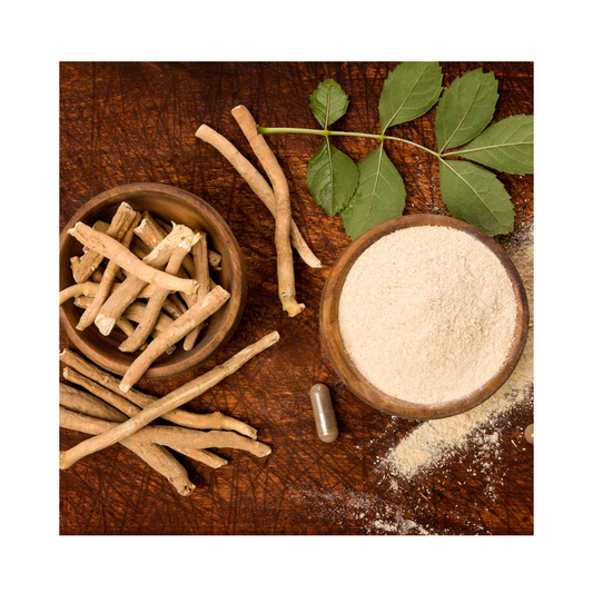 Organic dried sarsaparilla root packaged in a one-ounce apothecary pouch
