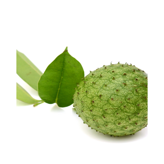 USDA Organic dried soursop leaves in a one-ounce product package